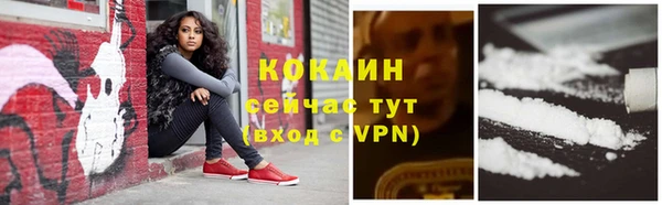 твердый Нягань